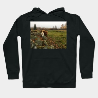 Scottish Highland Cattle Calves and Cat 1837 Hoodie